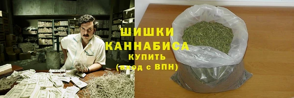 2c-b Бородино
