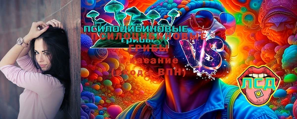 первитин Богданович