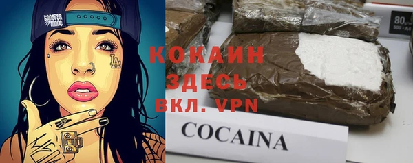 первитин Богданович