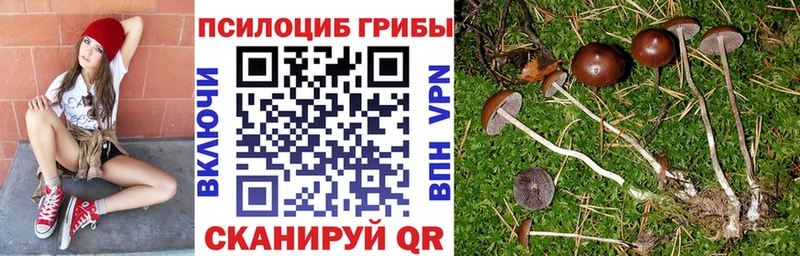 Псилоцибиновые грибы мицелий  Купить закладки  Приволжский 